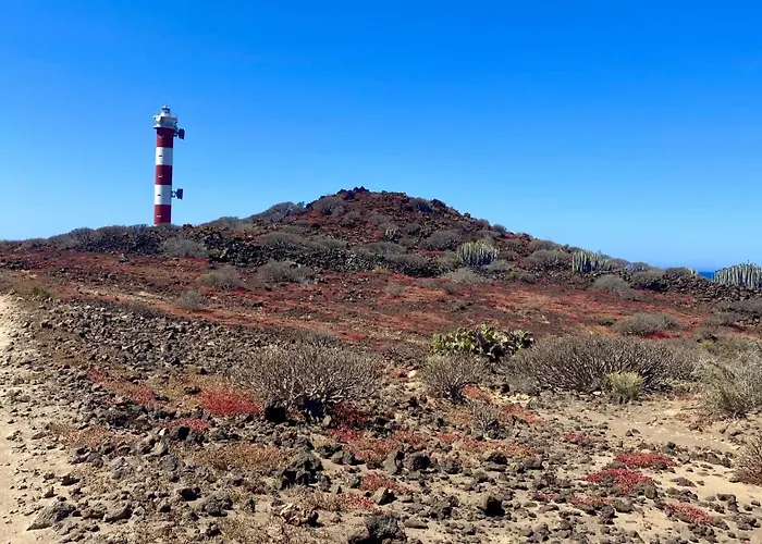 Paradise Oasis Palm Mar * Arona (Tenerife)