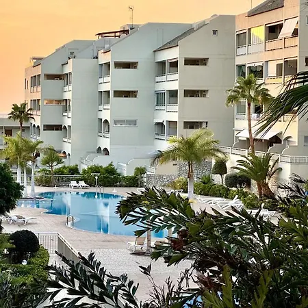 Paradise Oasis Palm Mar Lejlighed *