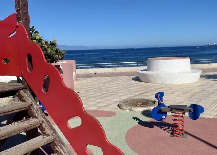 Paradise Oasis Palm Mar *