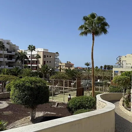 Paradise Oasis Palm Mar By Deihu Experiences