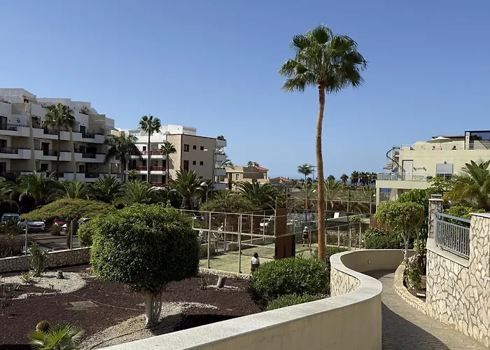 Paradise Oasis Palm Mar By Deihu Experiences