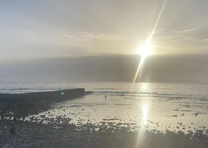 Paradise Oasis Palm Mar By Deihu Experiences * 阿罗纳