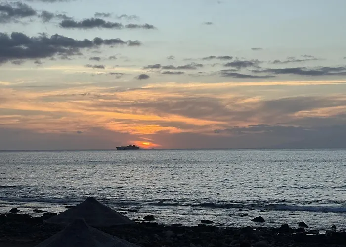 Paradise Oasis Palm Mar By Deihu Experiences